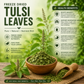 Dried Tulsi Leaves