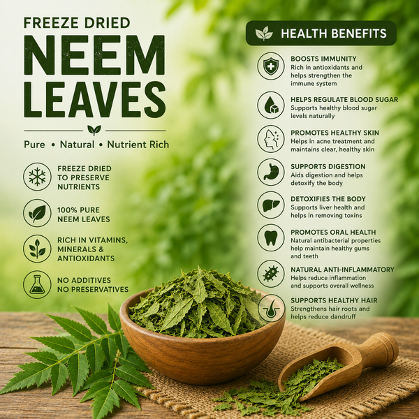 Dried Neem  Leaves