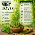 Dried Mint Leaves