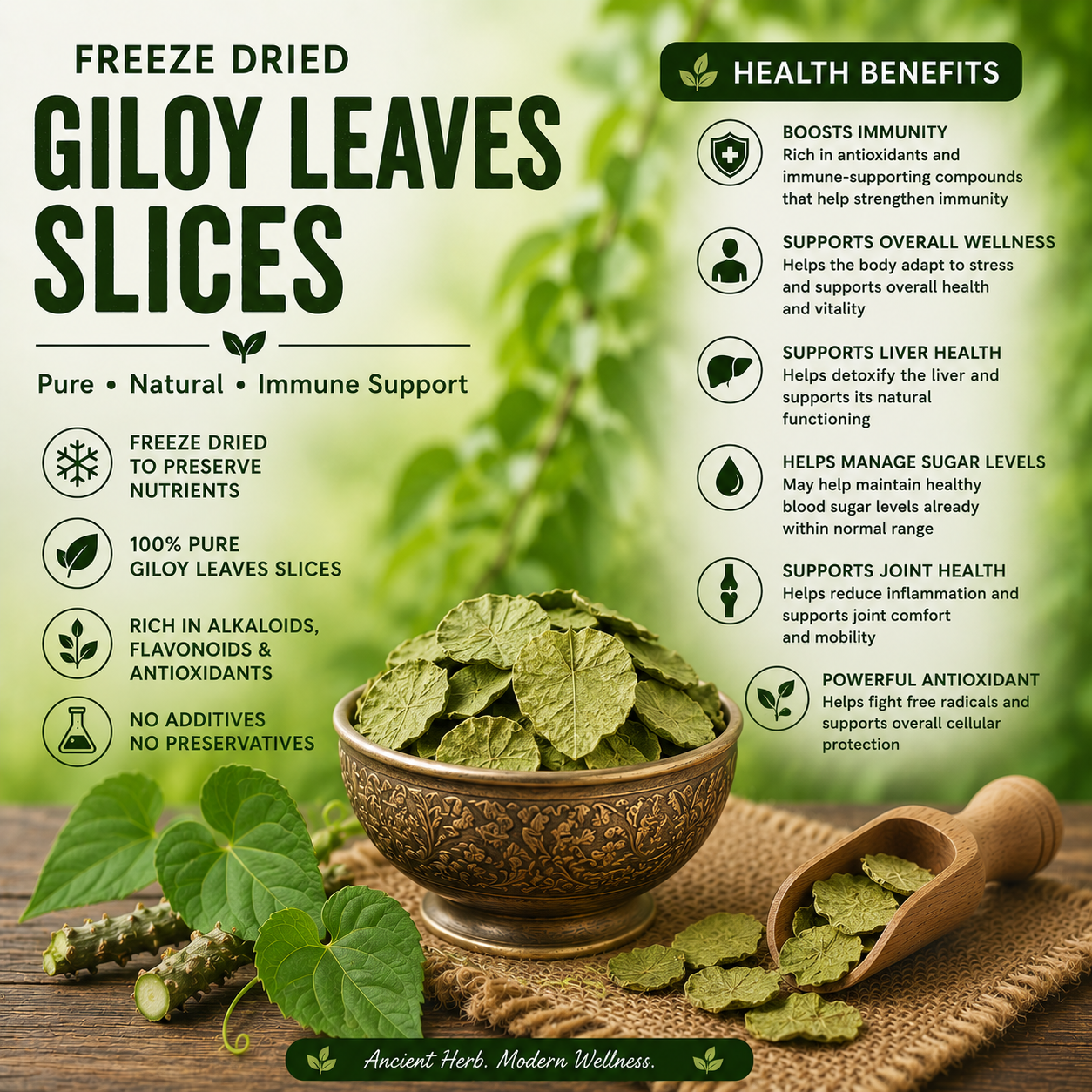 Dried Giloy Leaves
