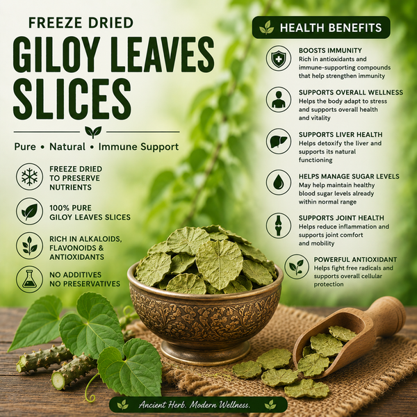 Dried Giloy Leaves