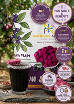 Jamun Shots - Premium Dried Jamun Fruit Cubes